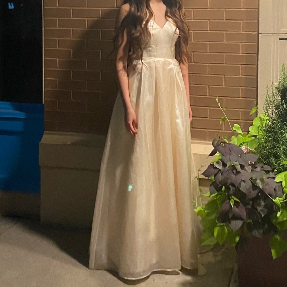 Champagne Prom Dress - Picture 5 of 5